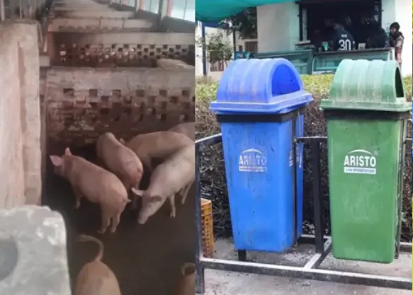 Solid Waste