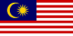International Partner 3