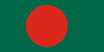 International Partner 4