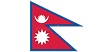 International Partner 7