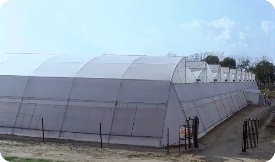 Polyhouse Outer View