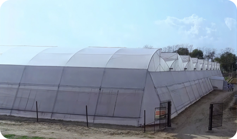 Polyhouse Outer View