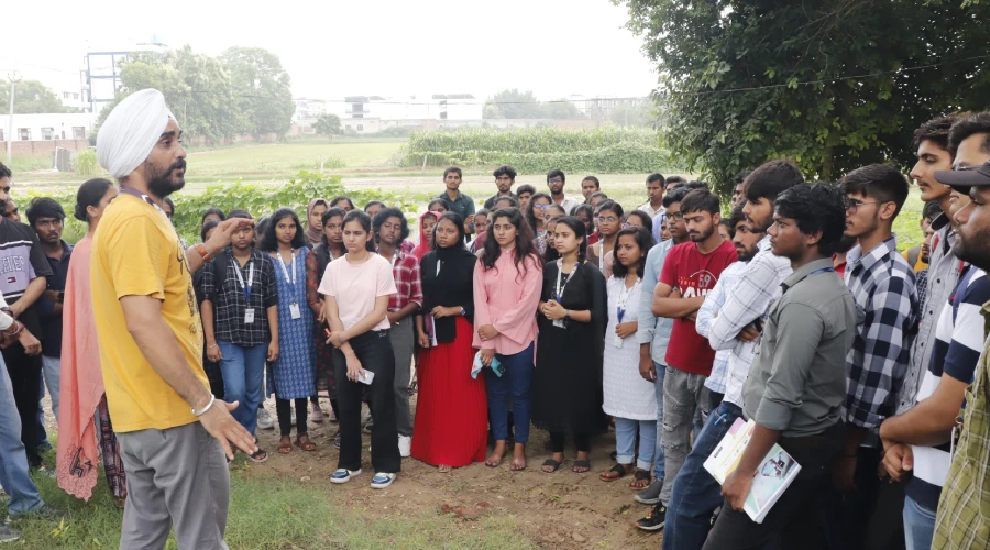 News image