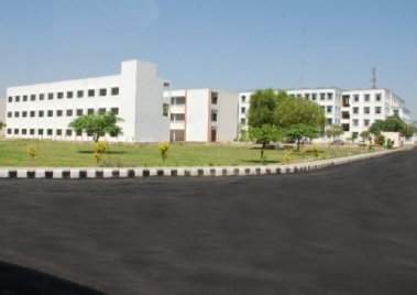 Faculty of Humanities & Language