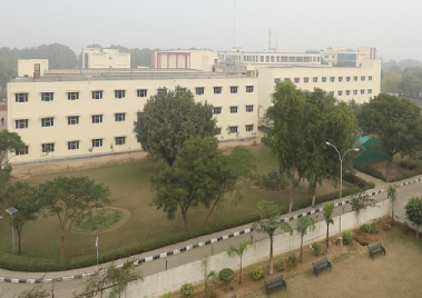 Faculty of Law